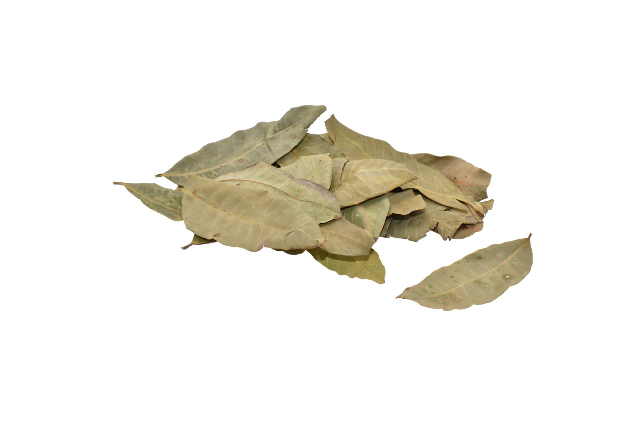 Leaf Litter/ Botanicals